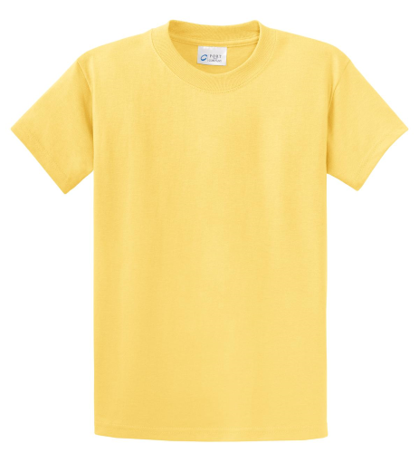 Picture of Port & Company Tall Essential T-Shirt