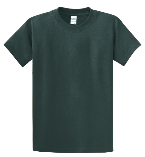 Picture of Port & Company Tall Essential T-Shirt