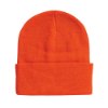 Picture of Sportsman 12" Solid Cuffed Beanie