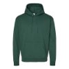 Picture of Hanes Ecosmart® Hooded Sweatshirt