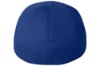 Picture of Flexfit V-Flexfit Cotton Twill Cap