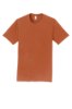 Picture of Port & Company Fan Favorite Tee