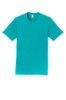 Picture of Port & Company Fan Favorite Tee