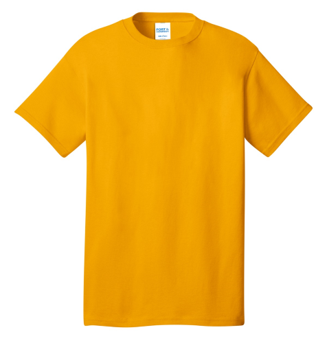 Picture of Port & Company Core Cotton Tee
