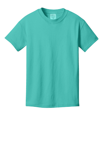Picture of Port & Company Youth Beach Wash Garment-Dye Tee