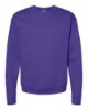 Picture of Hanes Ecosmart Crewneck Sweatshirt