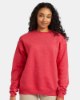Picture of Hanes Ecosmart Crewneck Sweatshirt