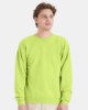Picture of Hanes Ecosmart Crewneck Sweatshirt