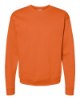 Picture of Hanes Ecosmart Crewneck Sweatshirt