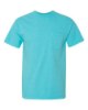 Picture of Comfort Colors Garment-Dyed Heavyweight Pocket T-Shirt
