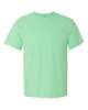Picture of Comfort Colors Garment-Dyed Heavyweight Pocket T-Shirt