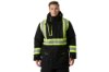 Picture of Helly Hansen Alna Polar Parka