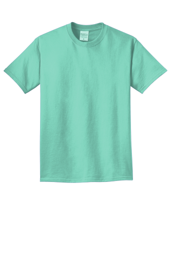 Picture of Port & Company Beach Wash Garment-Dyed Tee